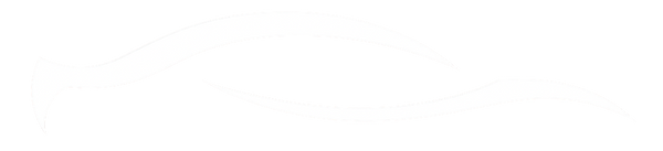 AUTONNAVE